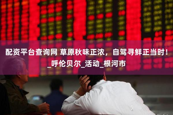 配资平台查询网 草原秋味正浓，自驾寻鲜正当时！_呼伦贝尔_活动_根河市